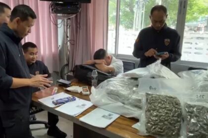 Britons Arrested in Koh Samui for Smuggling Cannabis